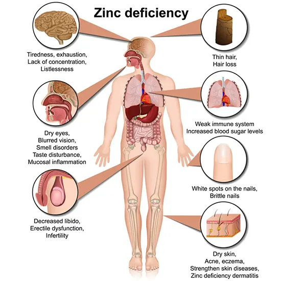 Blood Zinc Levels